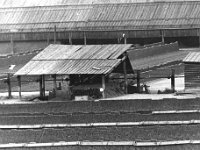 brickyards 7