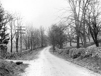 road1