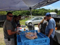IMG 4789